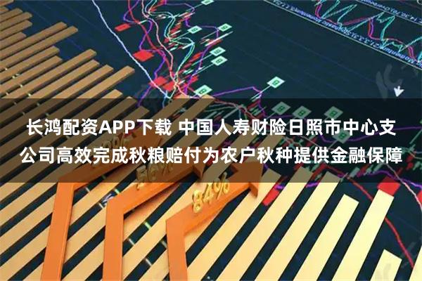 长鸿配资APP下载 中国人寿财险日照市中心支公司高效完成秋粮赔付为农户秋种提供金融保障